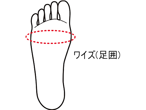 靴サイズの表記早見表 簡単な換算方法 足囲表や足サイズの測り方 ワイズ 足囲の測り方