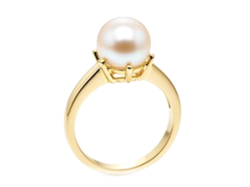 貴金属の比重一覧と計算方法 金・プラチナ・銀の基礎知識 比重測定が難しい製品 宝石がついているジュエリー