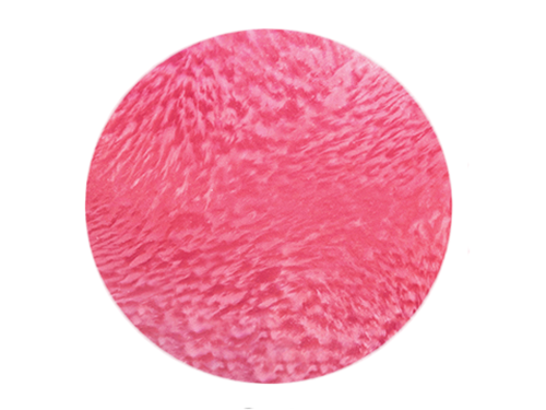 コンクパールの魅力と基礎知識まとめ 天然だけが生み出す「炎の真珠」の魅力に迫る