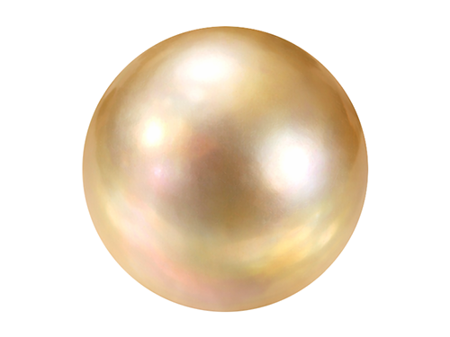 南洋パール（白蝶真珠・黒蝶真珠）の魅力と基礎知識まとめ 南の海が育んだ、特別な輝きをまとう真珠の物語へ
